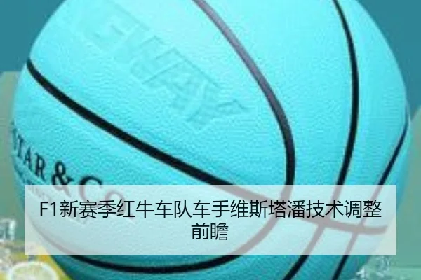 F1新赛季红牛车队车手维斯塔潘技术调整前瞻